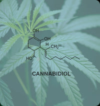 Cannabidiol (CBD)
