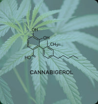 Cannabigerol (CBG)
