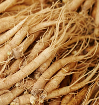 Ginseng asiatique