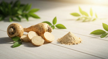 Comment la propriété adaptogène de la maca soutient-elle les capacités physiques et mentales ?