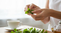 Bacopa monnieri sans caféine : esprit clair et mémoire