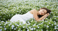 Bacopa monnieri sommeil non sédatif : gérer le stress, améliorer la concentration