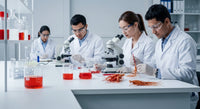 Ginseng rouge : avis utilisateurs et études scientifiques