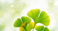 Avis Ginkgo Biloba : retours et usages pour votre mémoire