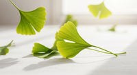 Ginkgo Biloba : votre allié contre fatigue mentale et brouillard cérébral