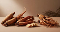 Quel ginseng rouge choisir : Top 6 pour des performances optimales