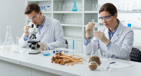 Salidrosides de la rhodiola : actif clé des bienfaits adaptogènes