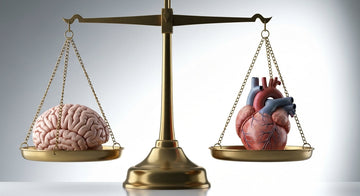 Alpha-GPC et citicoline : deux nootropiques pour la santé cérébrale