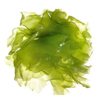 DHA Végétal & Vitamine D