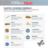 Libiboost XXL : Performannces Masculines