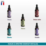 Huile CBD l’intense Spectre complet NOVALOA en cinq saveurs : cassis, cerise noire, nature, menthe et violette. Produit bio pour soulager stress, douleurs et troubles du sommeil.