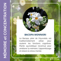 Bacopa
