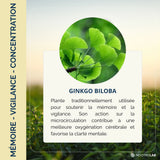 Ginkgo Bio
