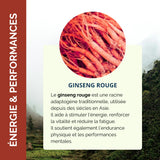 Ginseng Rouge