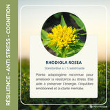 Rhodiola Extrait