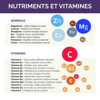 Tableau des nutriments et vitamines contenus dans Vitaboost, incluant magnésium, zinc, fer, vitamines A à E pour la santé et la performance.