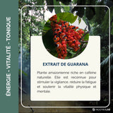 Guarana naturel Bio  I Paullinia cupana