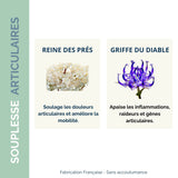 Ingrédients actifs de la cure articulation Souplesse Articulaire Naturelle : reine des prés pour la mobilité et griffe du diable pour apaiser les inflammations articulaires.