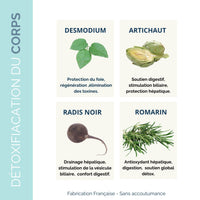 Ingrédients naturels du complément Drainage & Détox hépatique : desmodium, artichaut, radis noir et romarin pour une détox efficace.