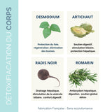 Ingrédients naturels du complément Drainage & Détox hépatique : desmodium, artichaut, radis noir et romarin pour une détox efficace.