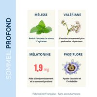 Ingrédients actifs de Nuit Tranquille Sommeil+ : mélisse, valériane, mélatonine et passiflore pour un sommeil réparateur et apaisé.