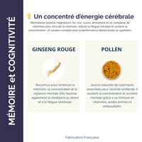 Présentation des ingrédients clés de Mémoboost : ginseng rouge et pollen, pour renforcer mémoire, concentration et énergie cérébrale.