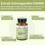 Ashwagandha Bio KSM-66 Extrait 345 mg