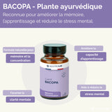 Bacopa