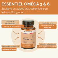 Omega 3 et 6