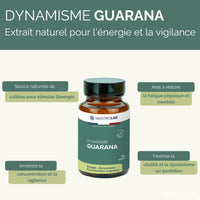 Guarana naturel Bio  I Paullinia cupana