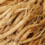 Ginseng asiatique