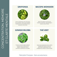 Ingrédients clés du Cérebro + Tonic Cérébral : Griffonia, Bacopa, Ginkgo Biloba et Thé Vert pour concentration et mémoire.