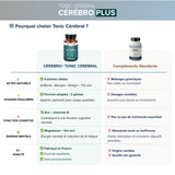 Cérebro Plus - Tonic Cérébral